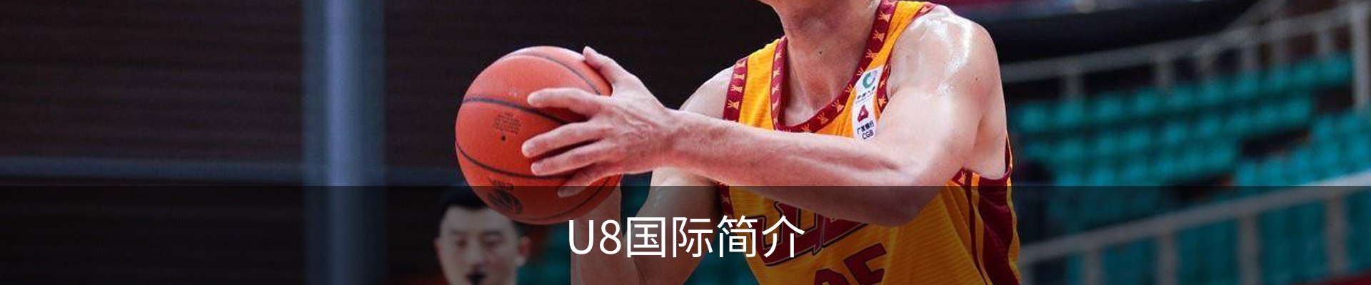 U8国际简介